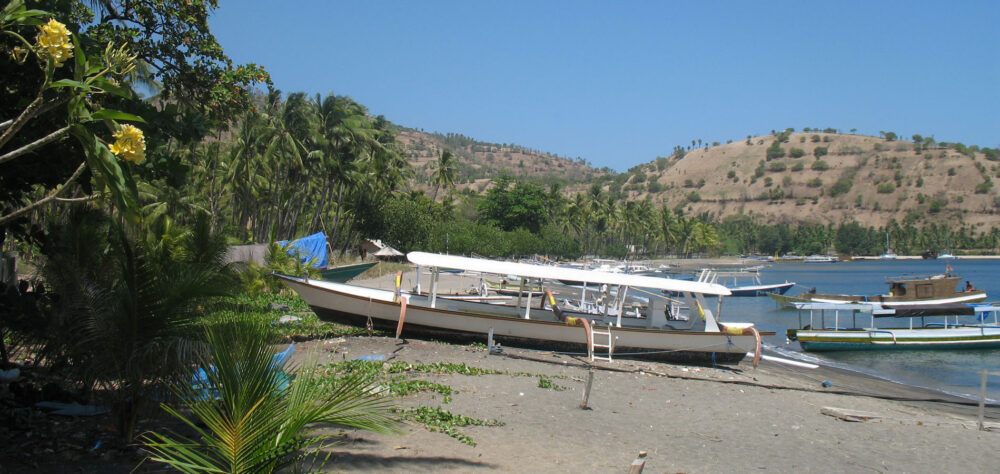 Bali Taman Resort and Spa Lovina Vakantie Bali Rondreis Original Asia