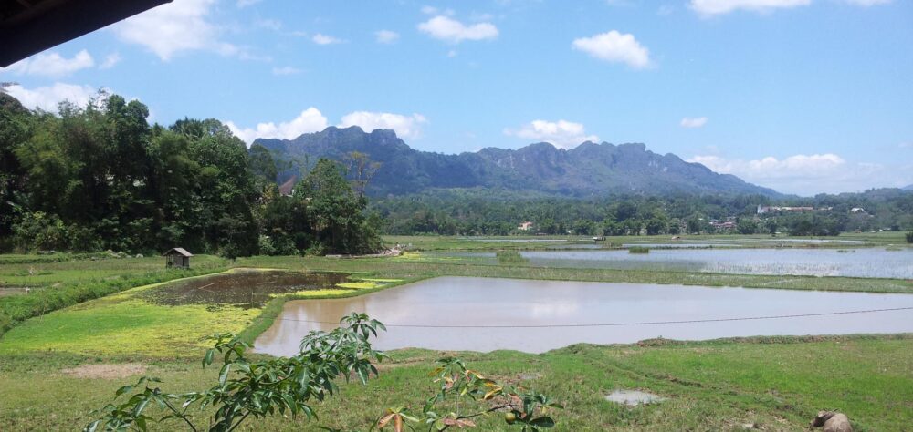Hotel Indonesie Sulawesi Toraja Vakantie Rondreis Tanah Toraja Rantepao Luta Resort Toraja