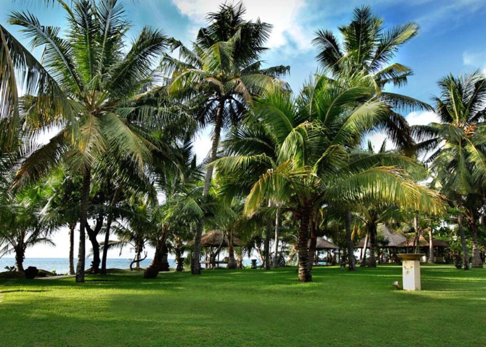 Hotel Bali Lovina Puri Bagus Lovina Resort