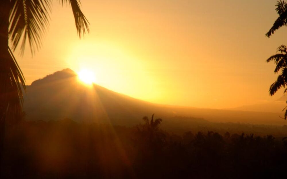 Hotel Bali Pekutatan Kelapa Retreat Resort