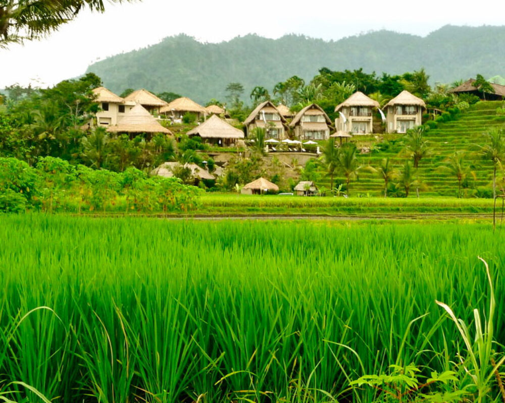 Hotel Bali Sidemen Surya Shanti Villa Resort