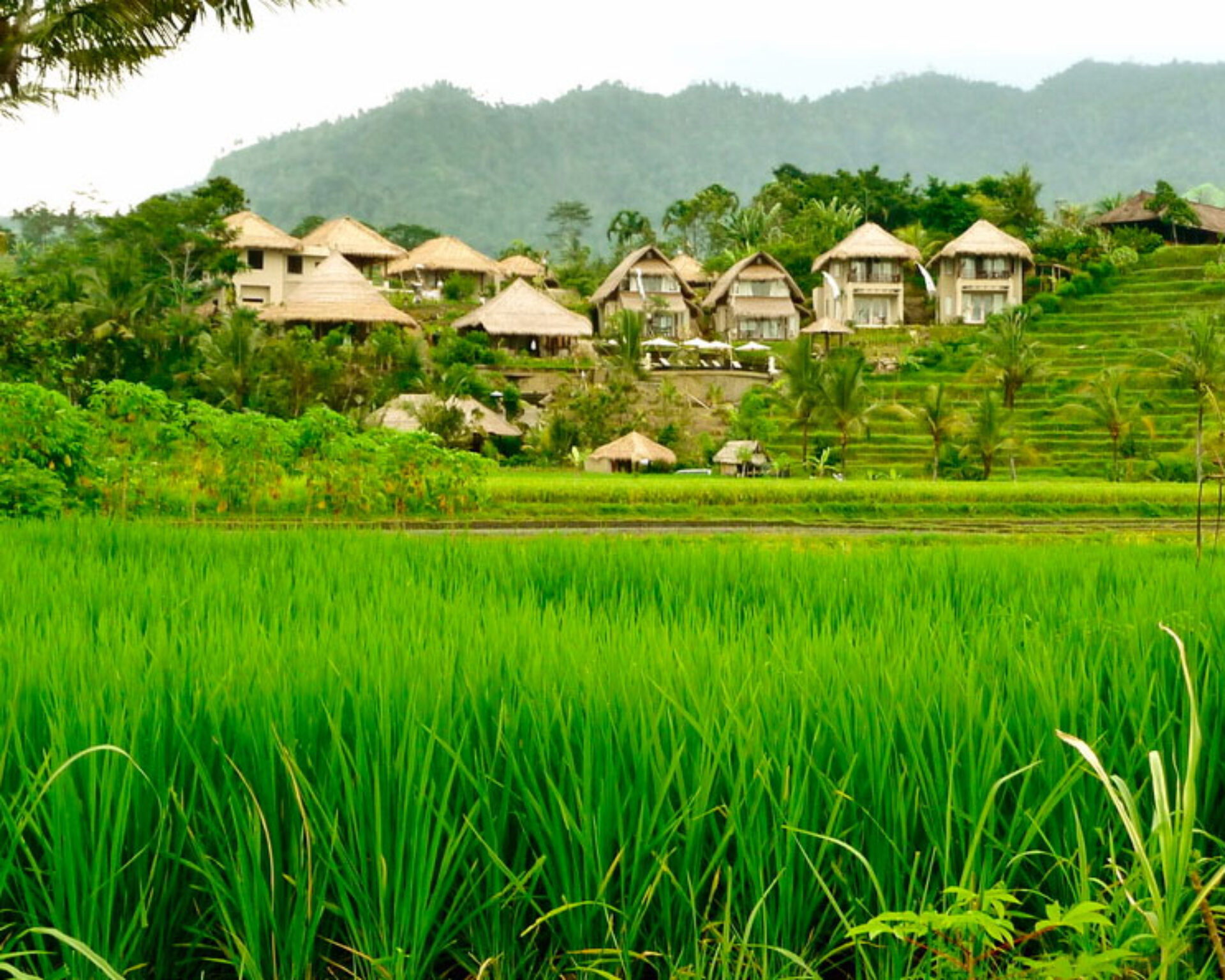 Hotel Bali Sidemen Surya Shanti Villa Resort