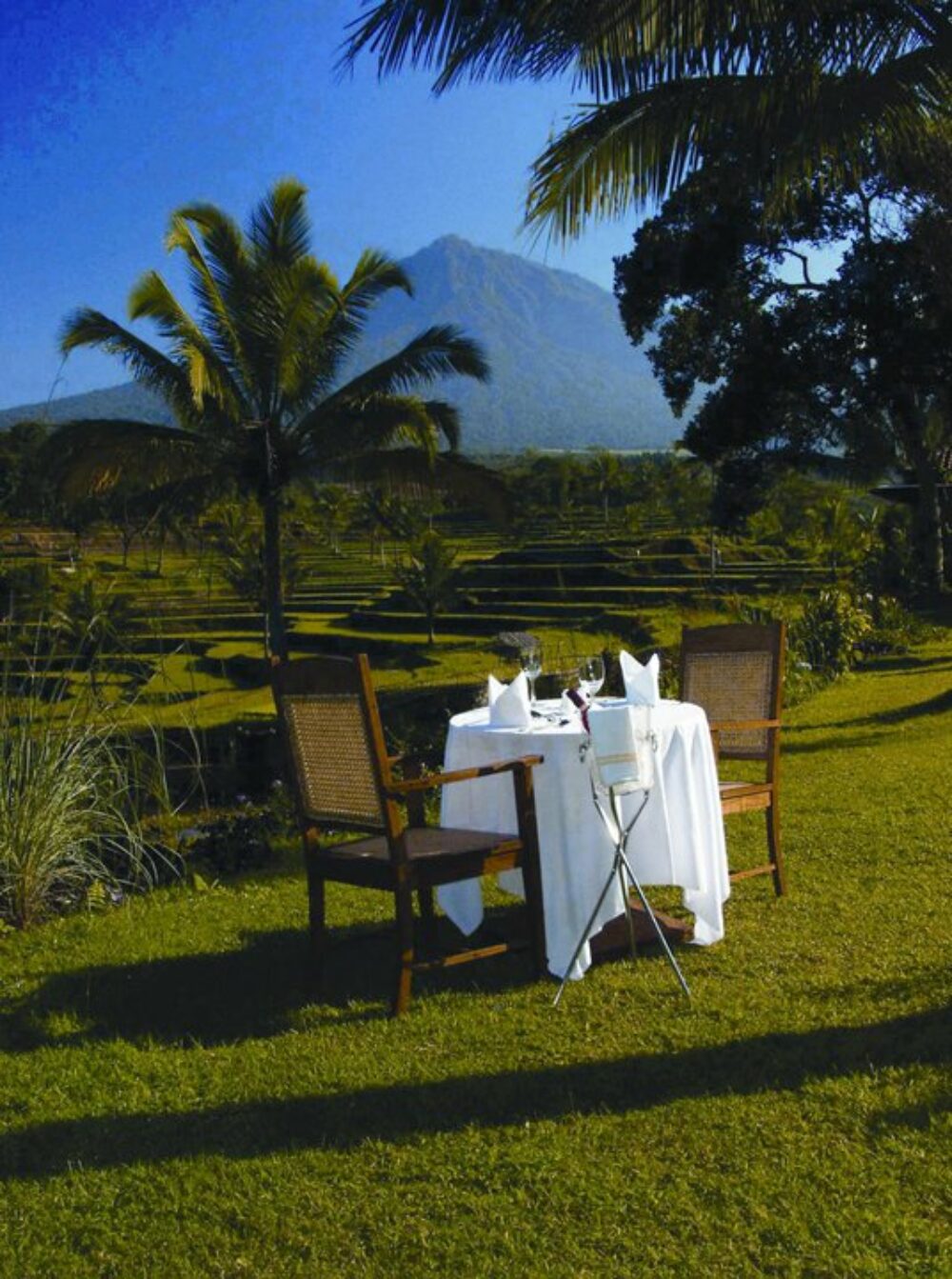 Hotel Indonesie Java Rondreis Vakantie Banyuwangi Ijen Resort