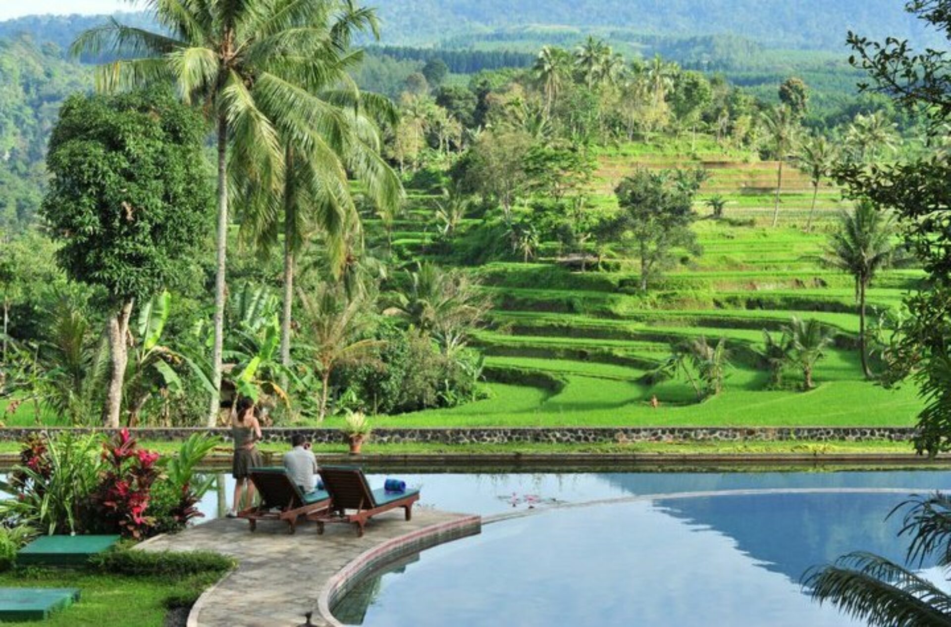 Hotel Indonesie Java Rondreis Vakantie Banyuwangi Ijen Resort