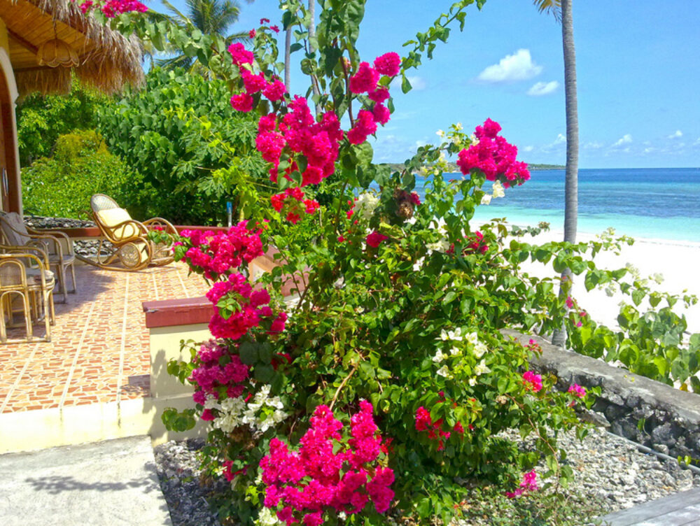 Hotel Indonesie Sulawesi Rondreis Vakantie Bira Bara Beach bungalows