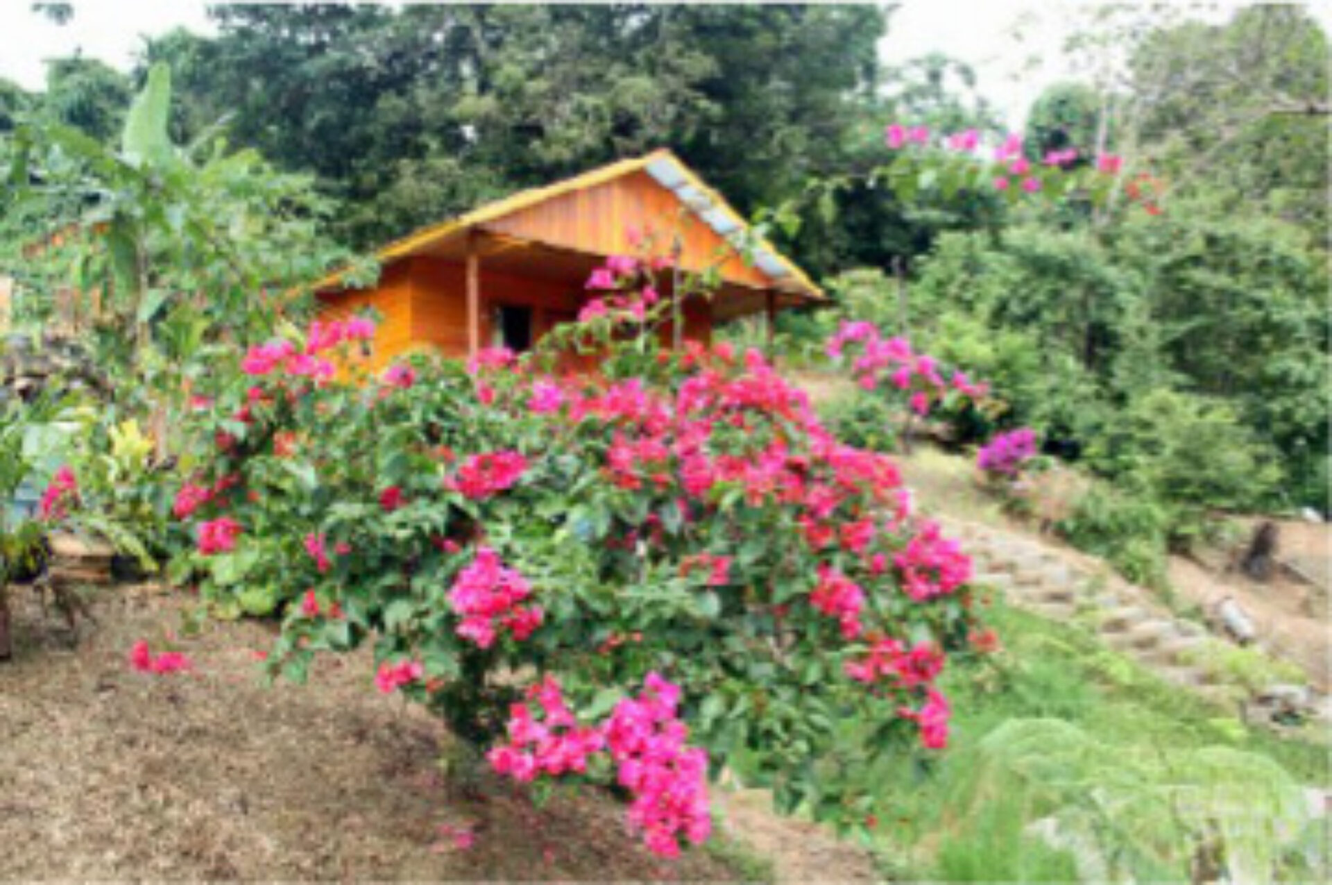 otel Indonesie Sulawesi Rondreis Vakantie Centraal Sulawesi Poso Dolidi Ndano Resort