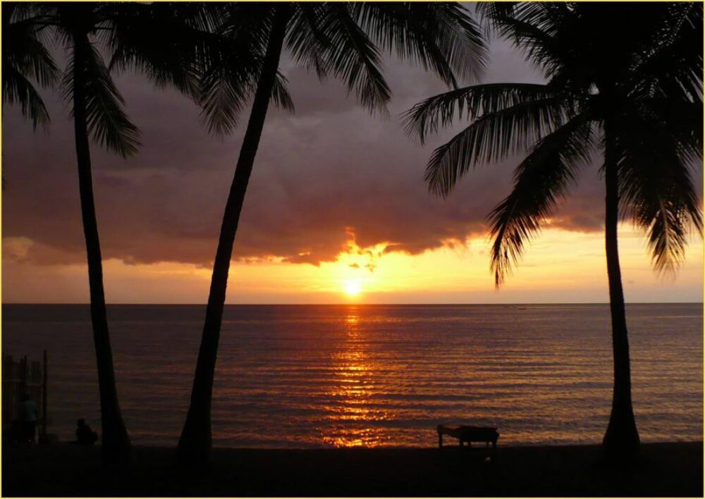 Hotel Indonesie Sulawesi Rondreis Vakantie Togian Ampana Marina Cottages