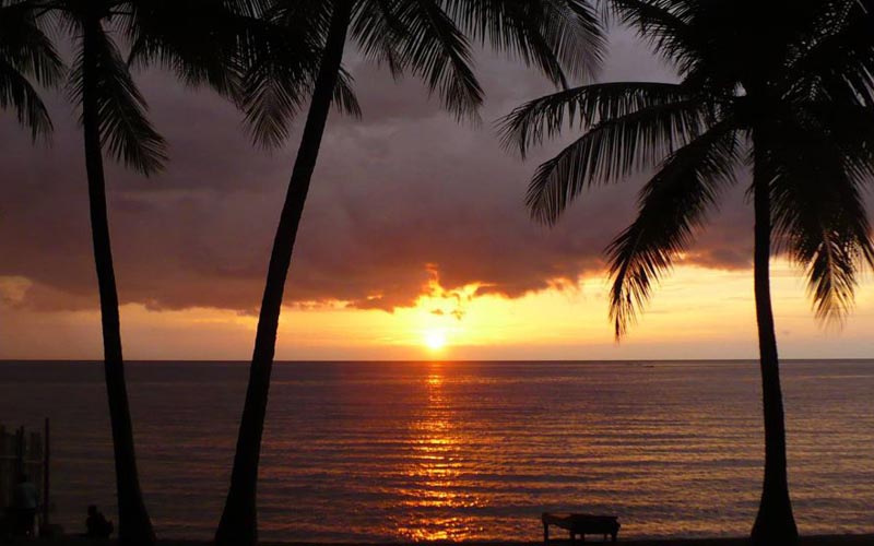 Hotel Indonesie Sulawesi Rondreis Vakantie Togian Ampana Marina Cottages