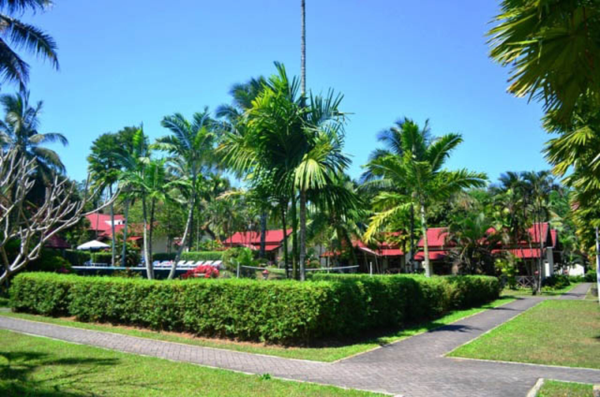 Hotel Java Kalibaru Cottages Resort