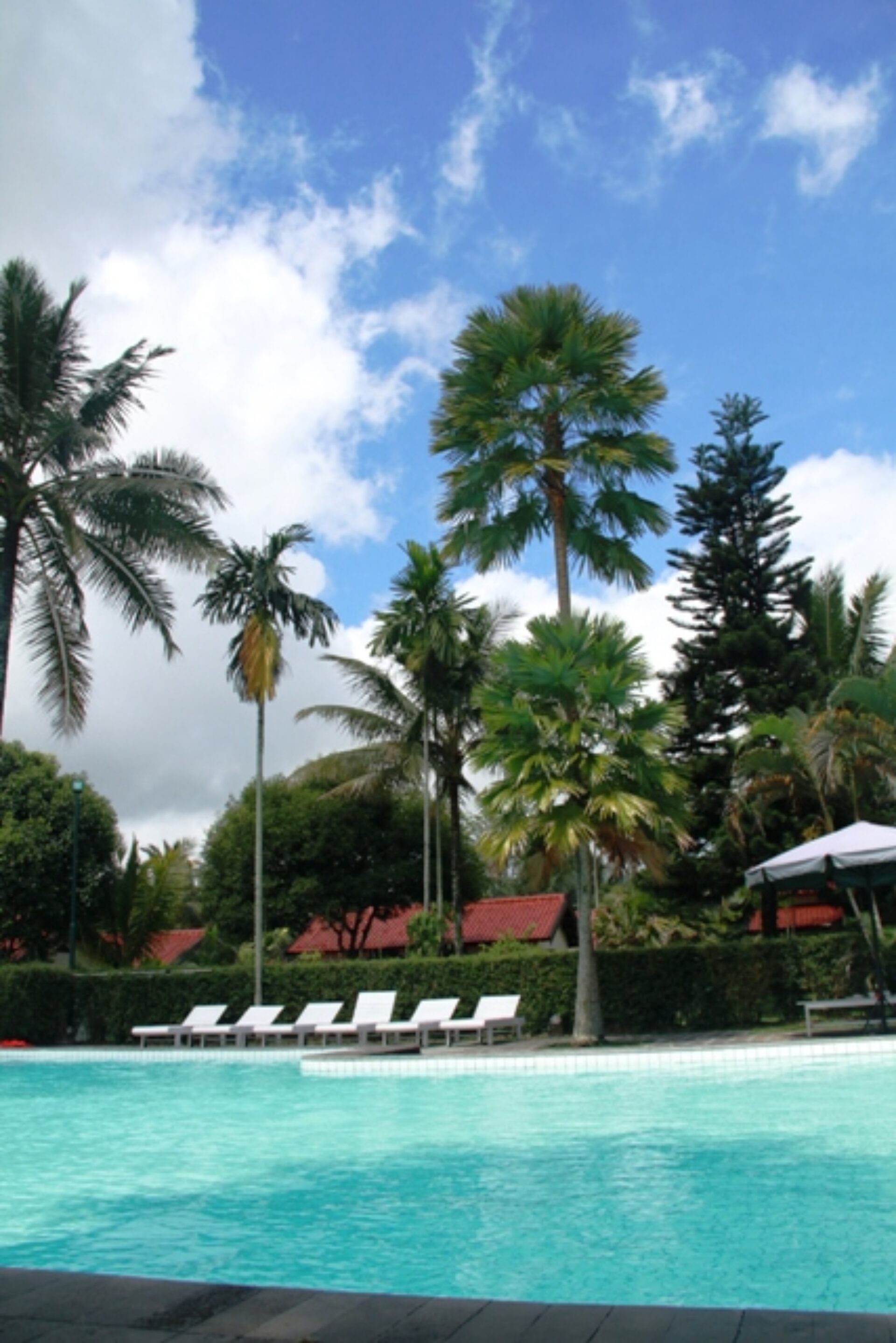 Hotel Java Kalibaru Cottages Resort