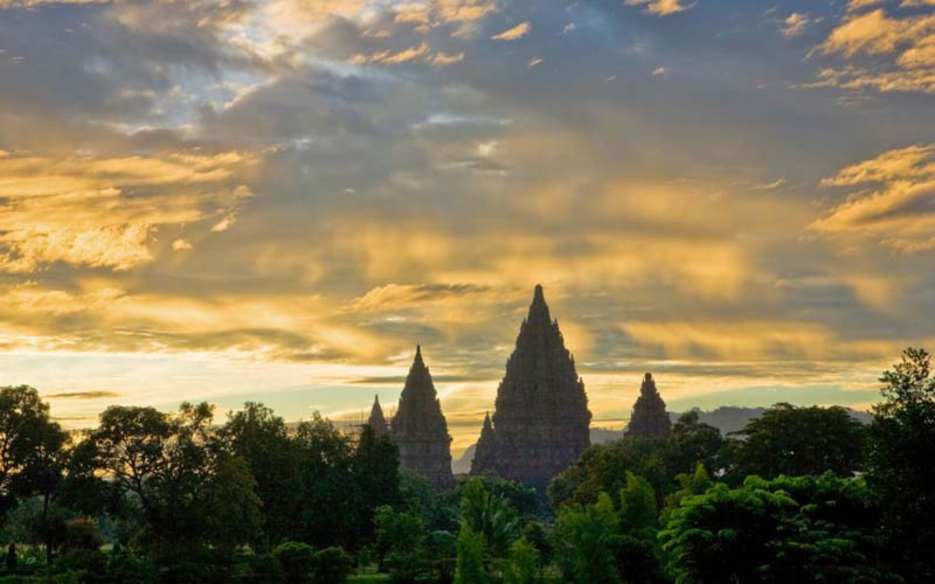 Hotel Java Yogyakarta Hotel The Phoenix Resort