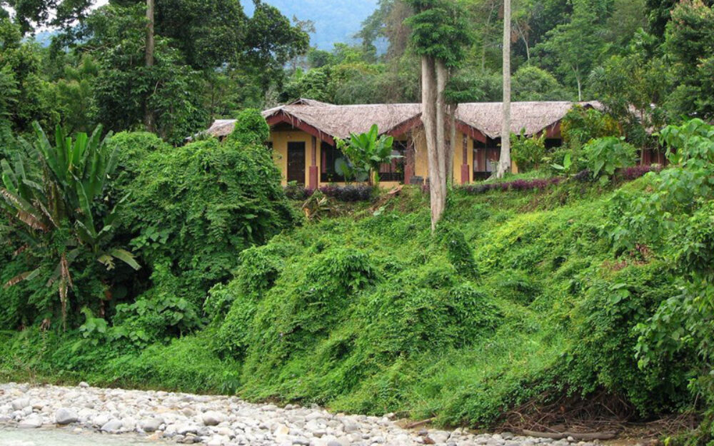 Hotel Sumatra Gunung Leuser Bukit Lawang Cottages Resort