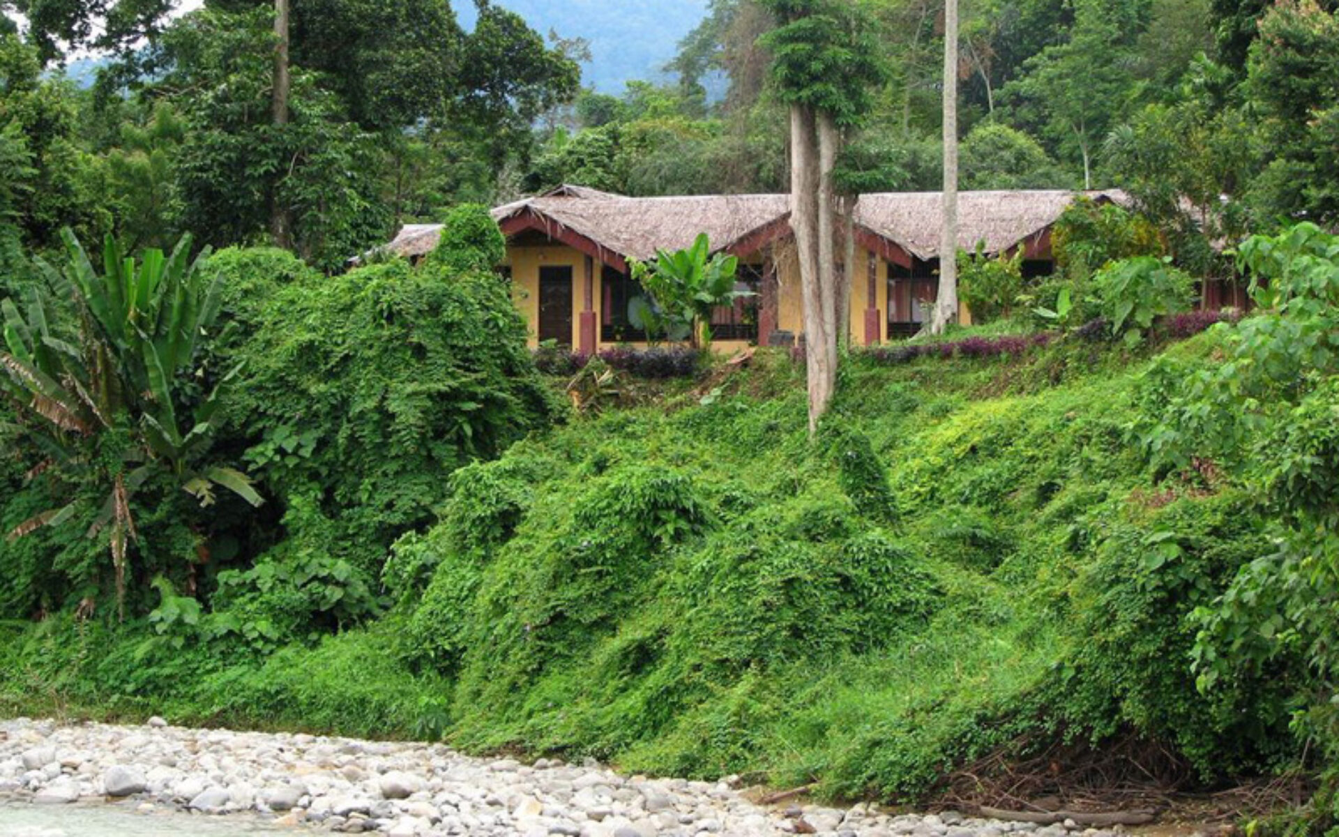 Hotel Sumatra Gunung Leuser Bukit Lawang Cottages Resort