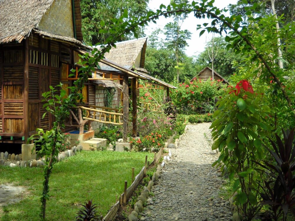 Hotel Sumatra Gunung Leuser Tangkahan mega inn guesthouse