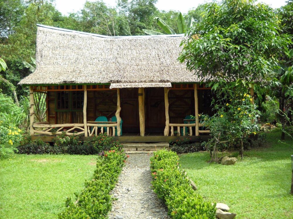 Hotel Sumatra Gunung Leuser Tangkahan mega inn guesthouse