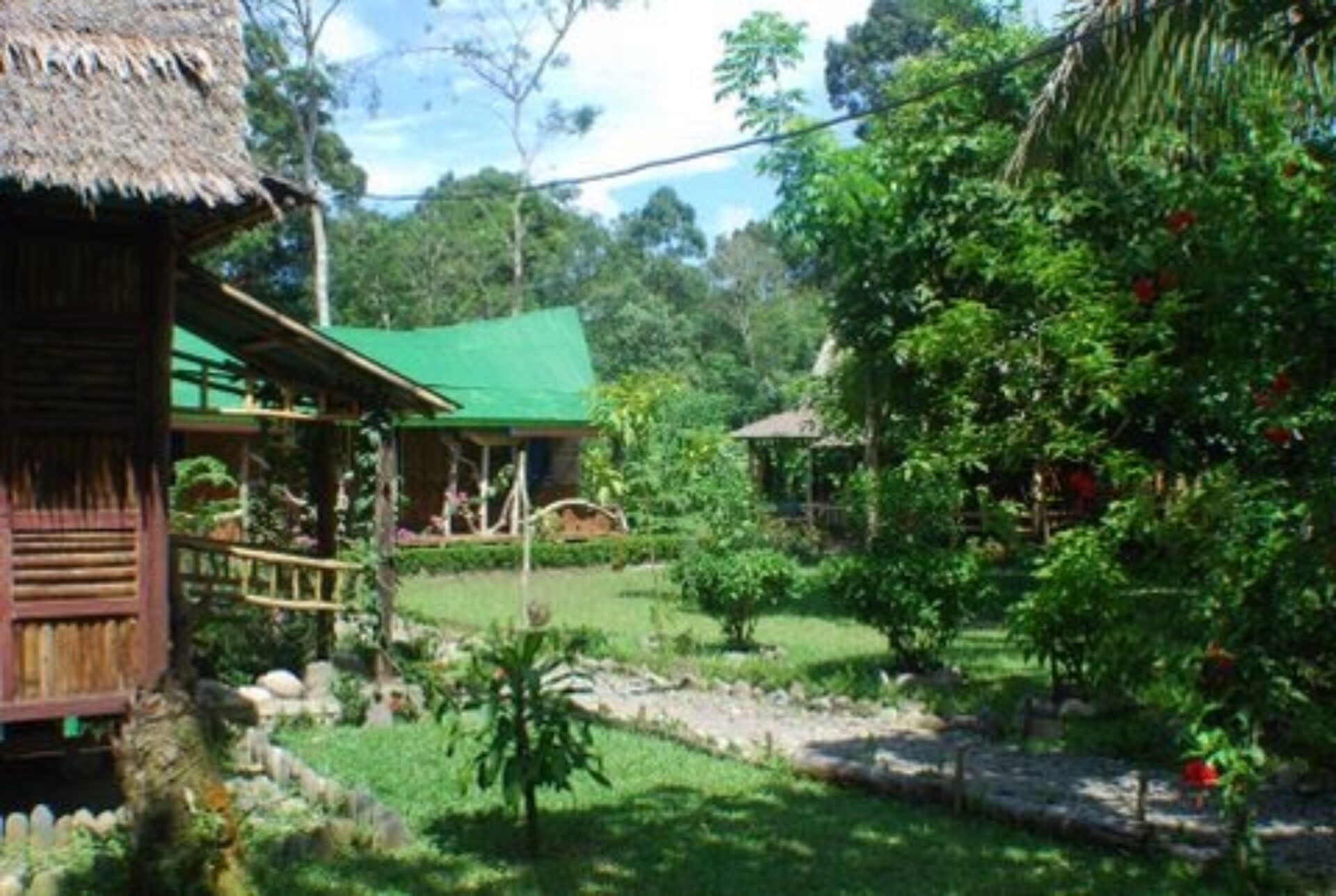 Hotel Sumatra Gunung Leuser Tangkahan mega inn guesthouse
