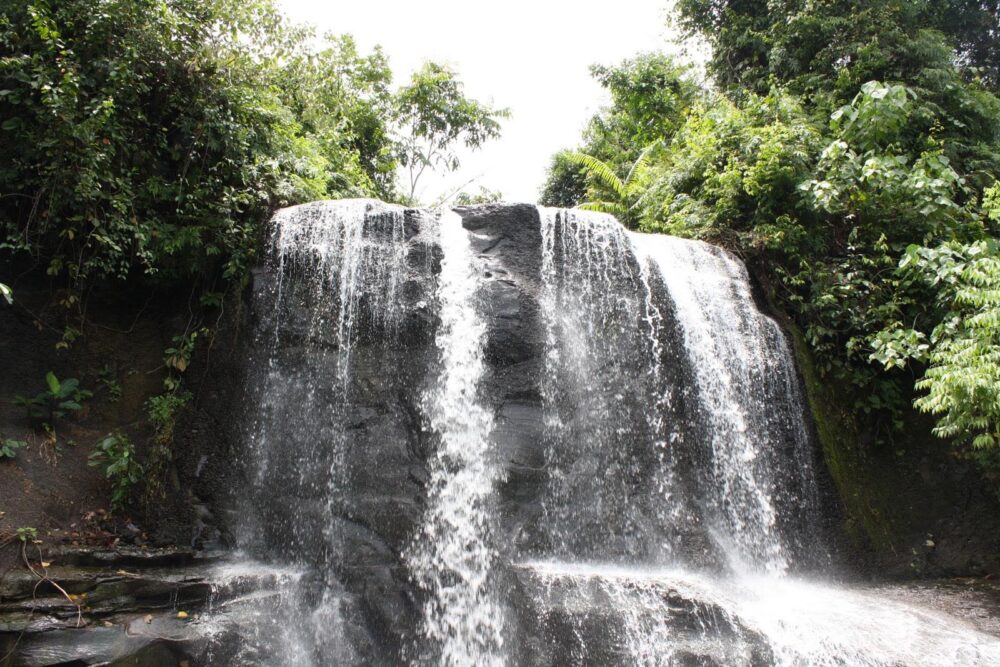 Hotel Sumatra Gunung Leuser Tangkahan mega inn guesthouse