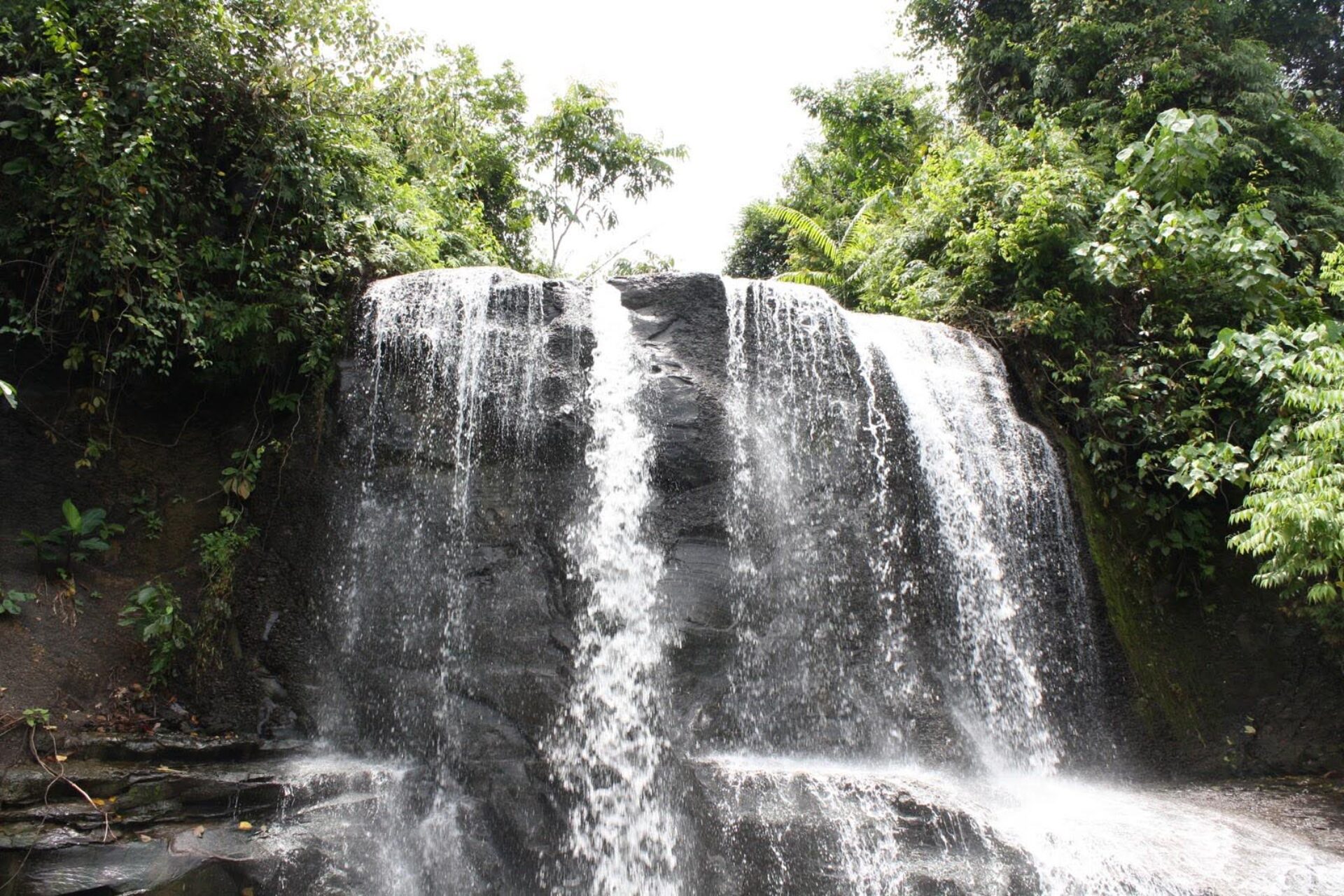 Hotel Sumatra Gunung Leuser Tangkahan mega inn guesthouse