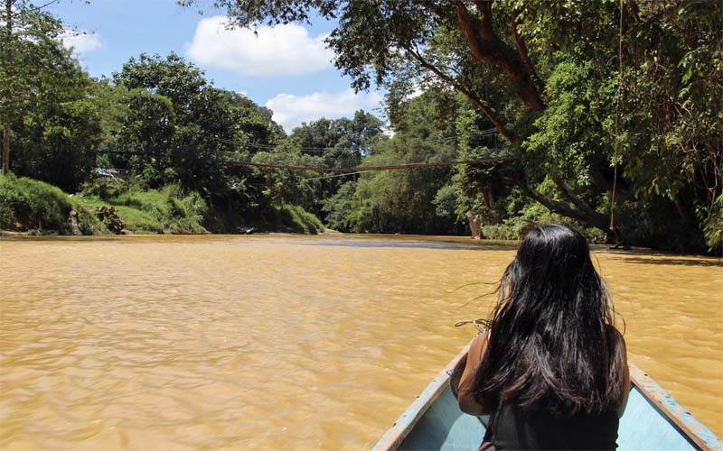 Excursie Maleisië Borneo Kuching Sarawak Kajakken en Orang-oetans