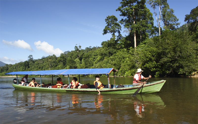 Rainforest Resort Taman Negara
