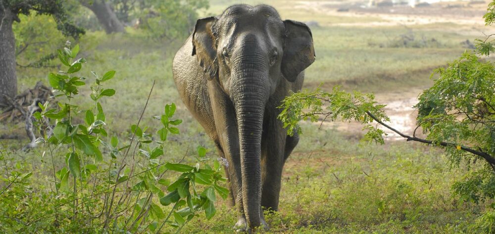 Home Original Asia Thailand Rondreis Vakantie Zuid Phang Nga Bay Hong Island Krabi mooi algemeen