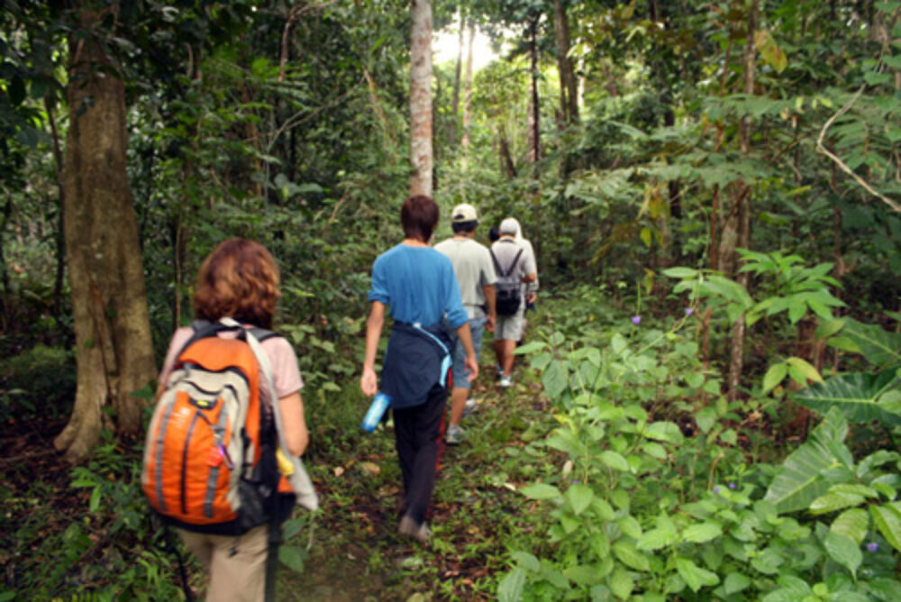 Hotel Indonesie Sulawesi Rondreis Vakantie Regenwoud Tangkoko National Park Tangkoko Dove Villa