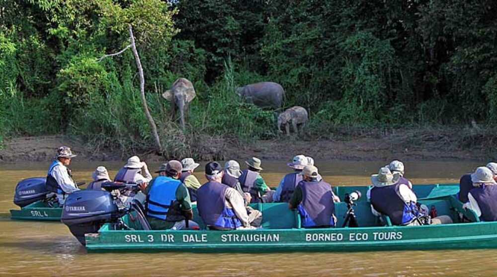 Hotel Maleisie Borneo Rondreis Vakantie Bilit Sukau Rainforest Lodge