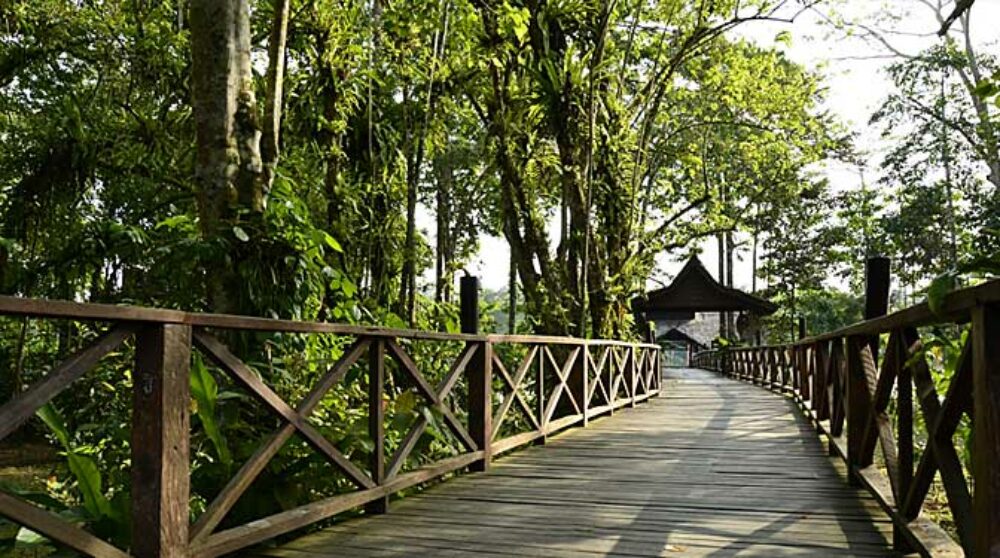 Hotel Maleisie Borneo Rondreis Vakantie Bilit Sukau Rainforest Lodge
