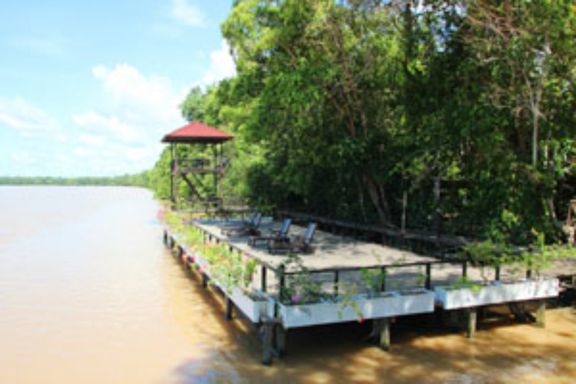 Hotel Maleisie Borneo Rondreis Vakantie Sandakan Abai Jungle Restaurant en Lodge