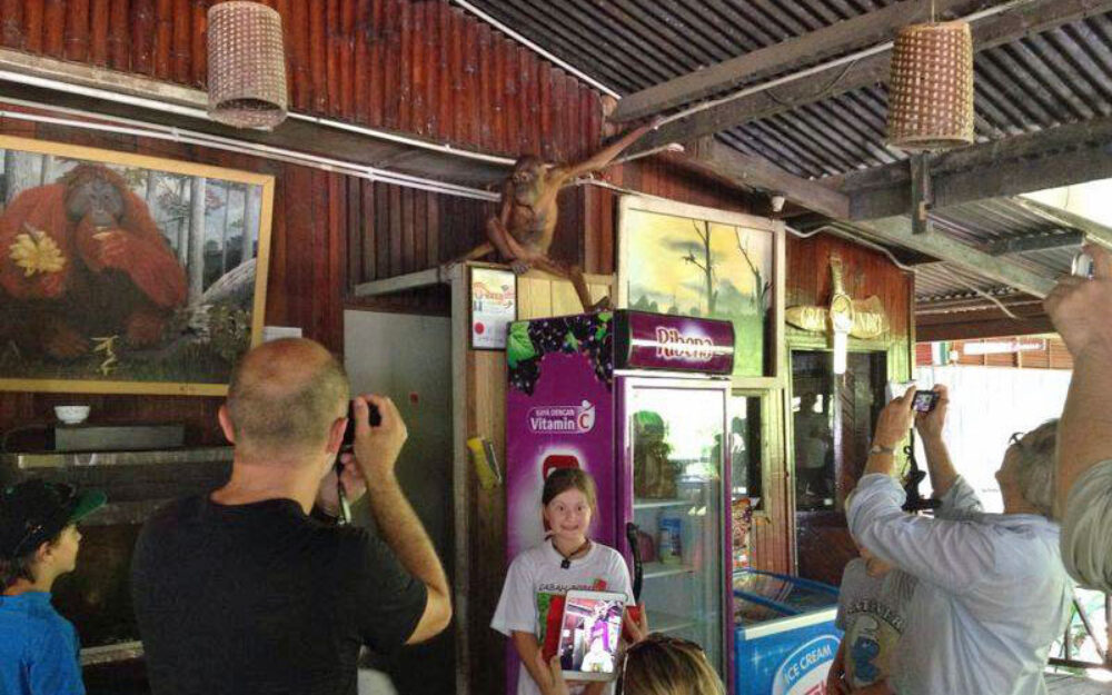 Hotel Maleisie Borneo Rondreis Vakantie Sandakan Sepilok Jungle Resort