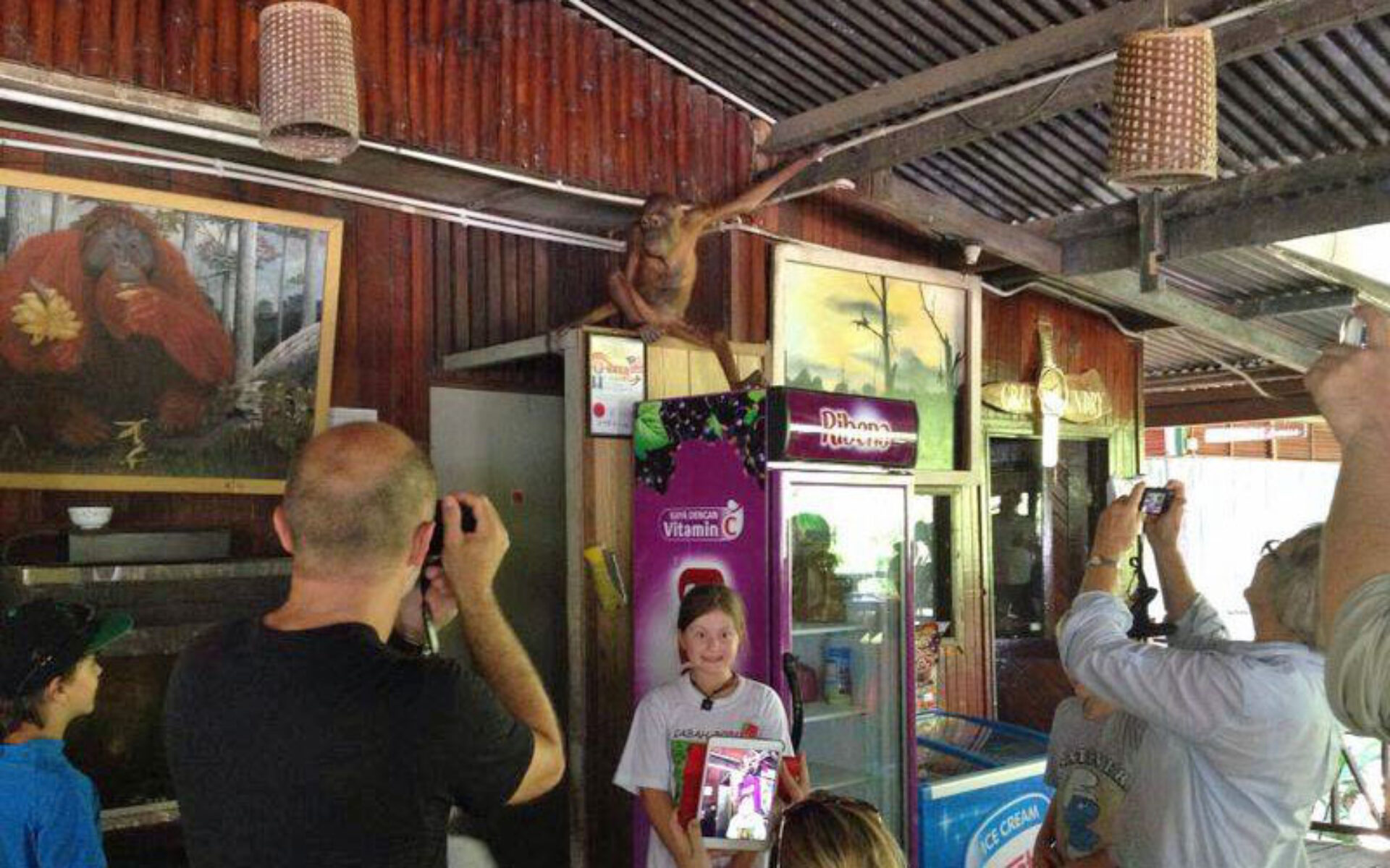 Hotel Maleisie Borneo Rondreis Vakantie Sandakan Sepilok Jungle Resort