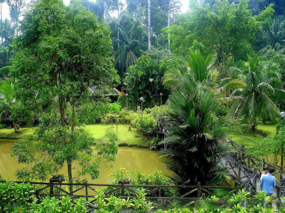 Hotel Maleisie Borneo Rondreis Vakantie Sandakan Sepilok Nature Resort