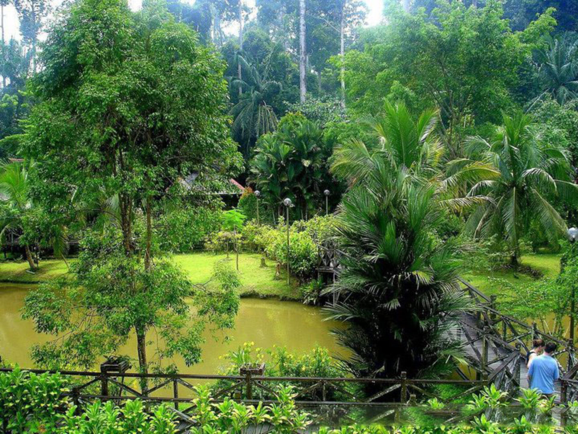 Hotel Maleisie Borneo Rondreis Vakantie Sandakan Sepilok Nature Resort