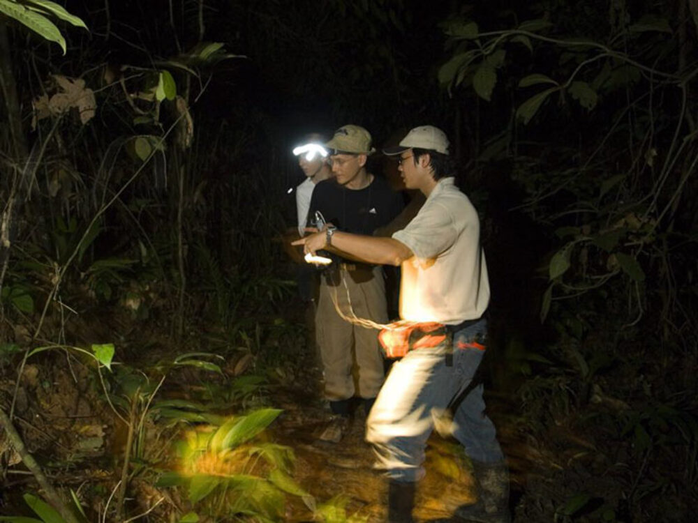 Hotel Maleisie Borneo Rondreis Vakantie Sandakan Sepilok Nature Resort