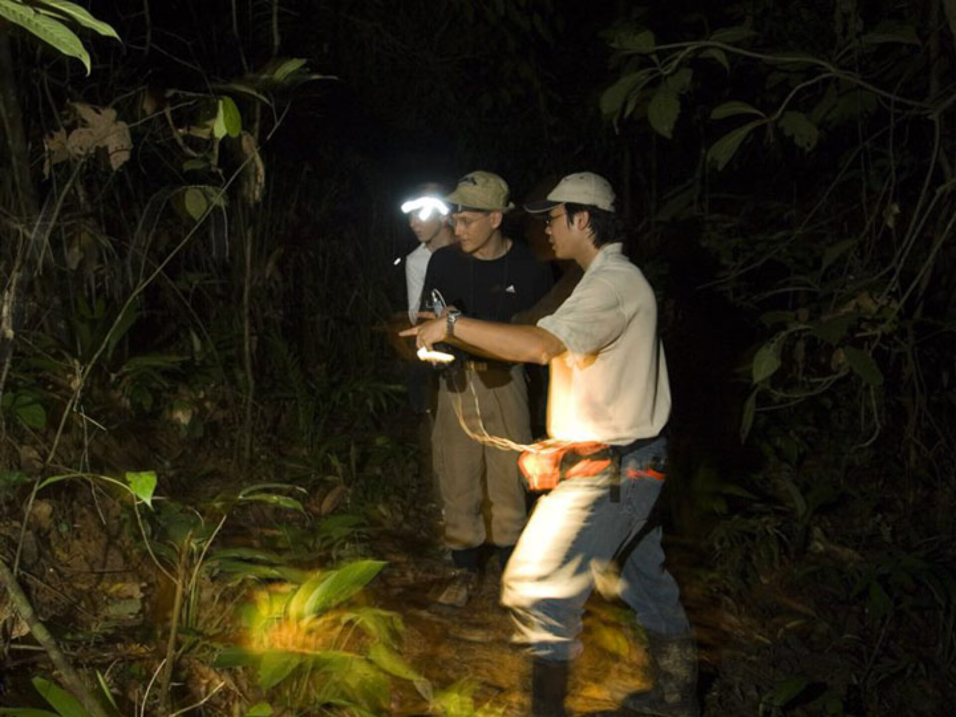 Hotel Maleisie Borneo Rondreis Vakantie Sandakan Sepilok Nature Resort