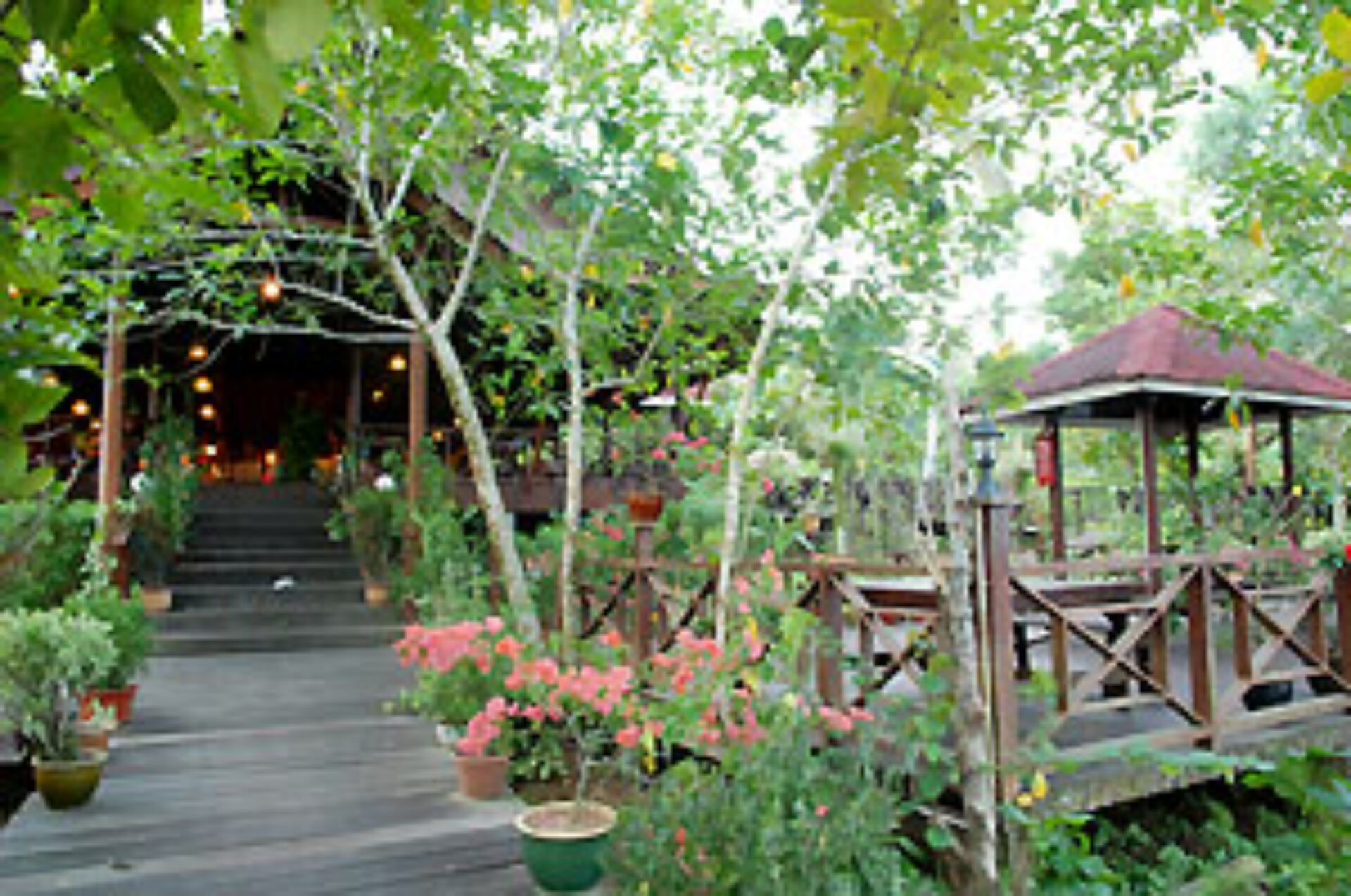 Hotel Maleisie Borneo Sabah Rondreis Vakantie Sandakan Kinabatangan Riverside lodge