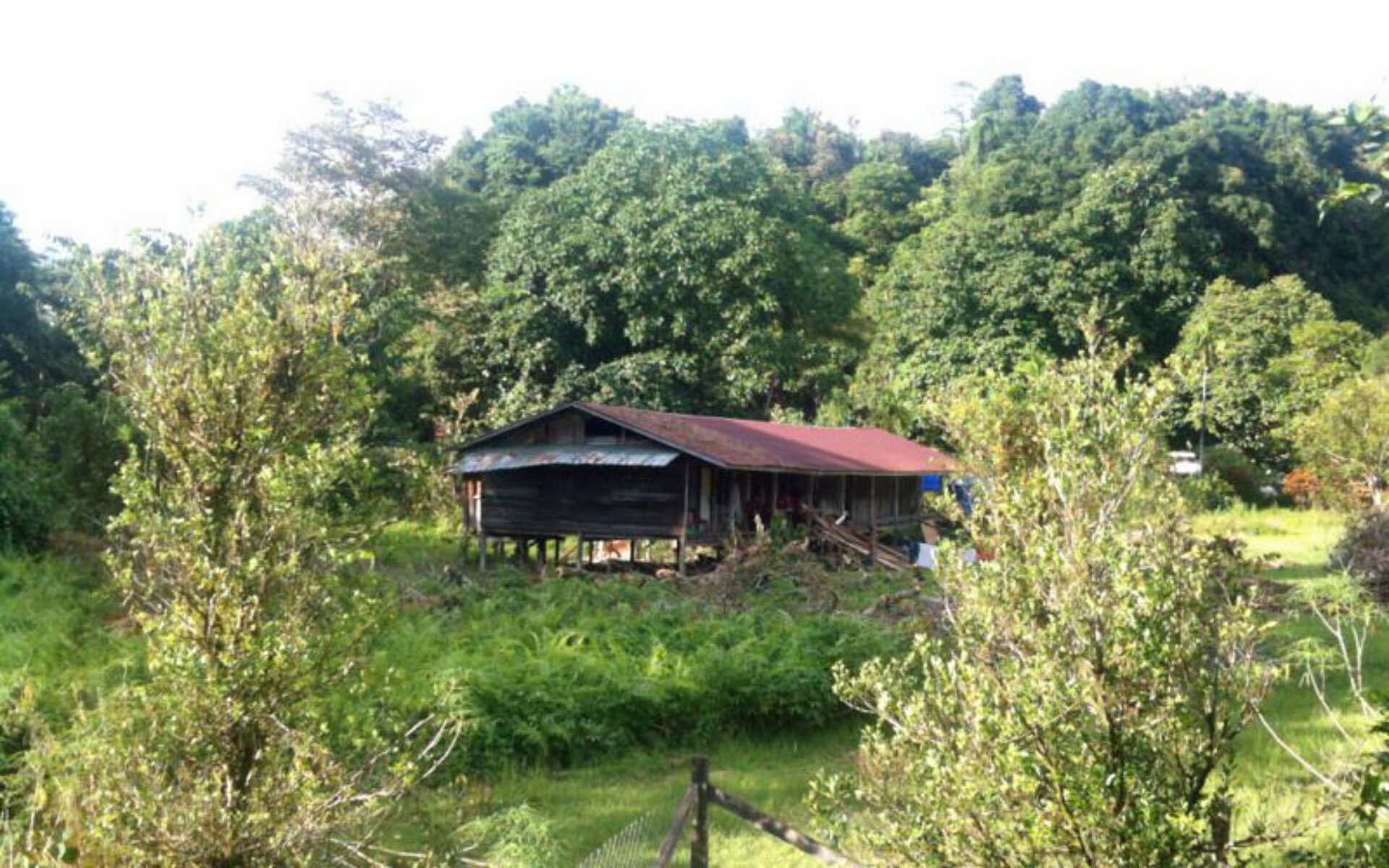 Hotel Maleisie Borneo Sarawak Rondreis Vakantie Mulu Village Guesthouse