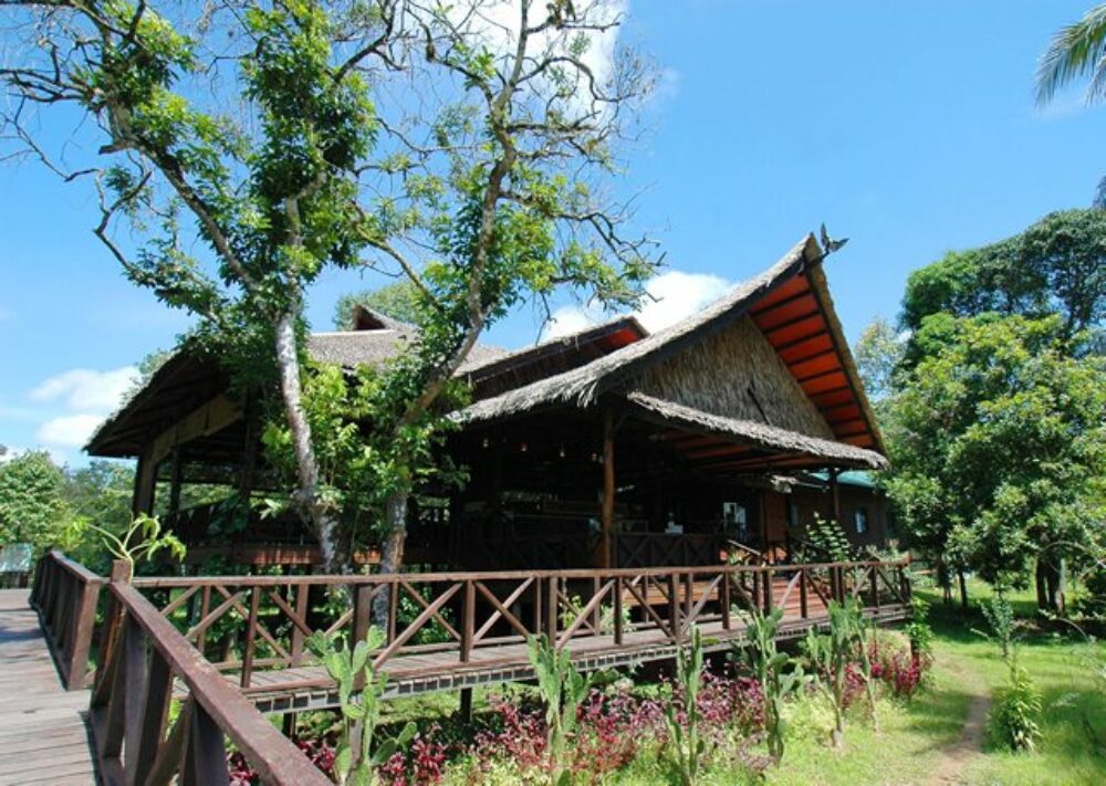 Hotel Maleisie Oost Rondreis Vakantie Borneo Sandakan Bilit Rainforest Lodge