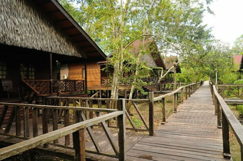 Hotel Maleisie Oost Rondreis Vakantie Borneo Sandakan Bilit Rainforest Lodge
