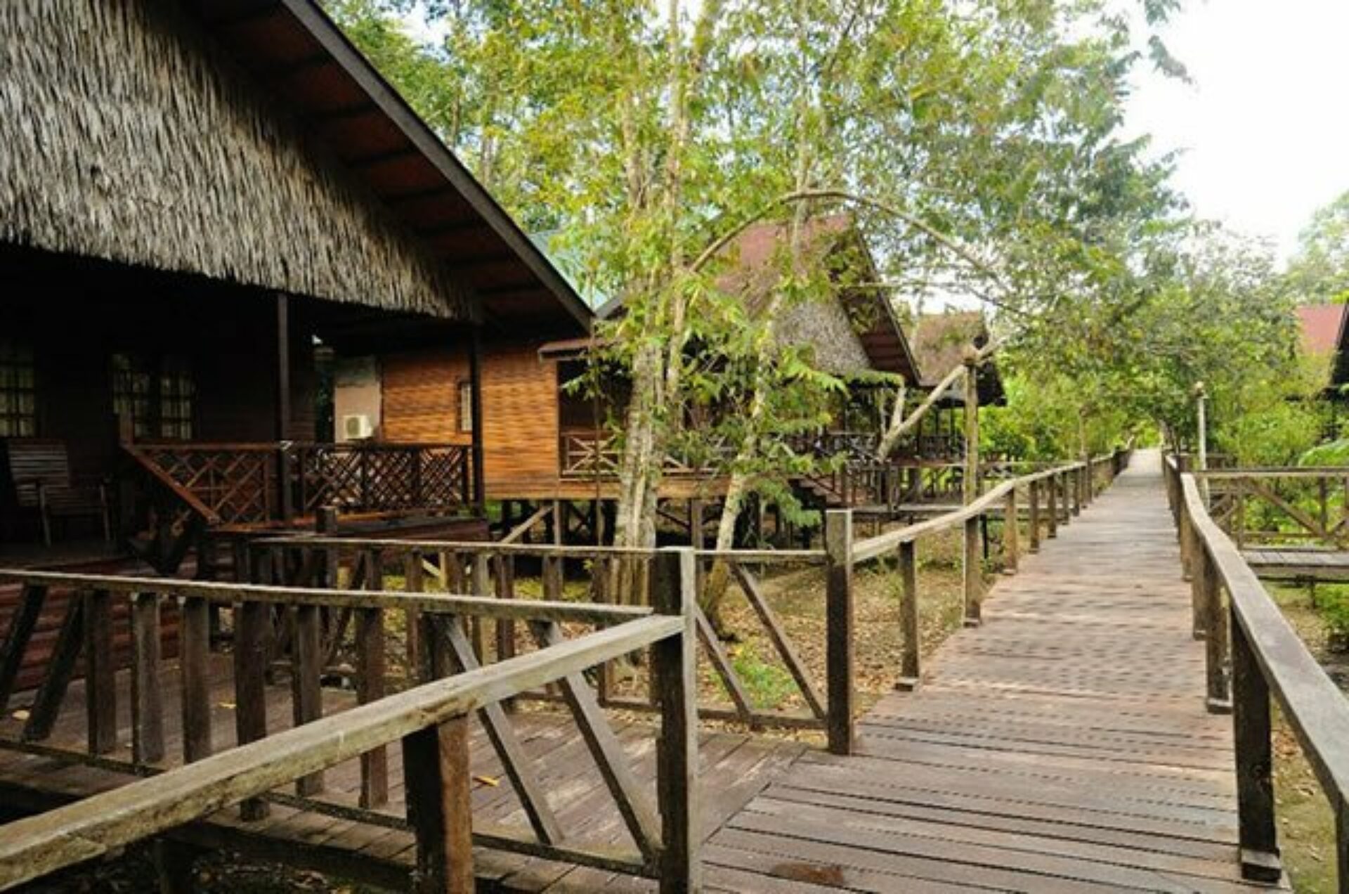 Hotel Maleisie Oost Rondreis Vakantie Borneo Sandakan Bilit Rainforest Lodge