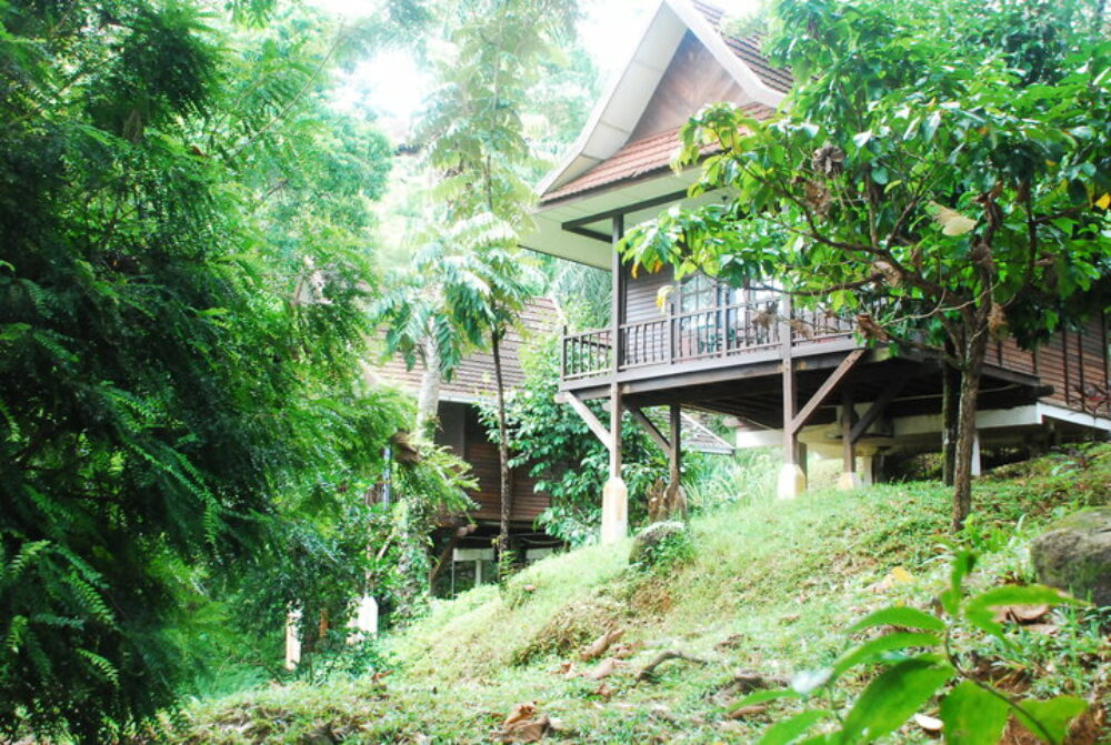 Hotel Maleisie Rondreis Vakantie Lake Kenyir Resort