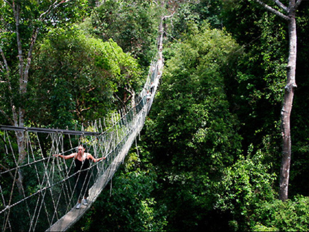 Hotel Maleisie Vakantie Rondreis Mutiara Taman Negara Resort