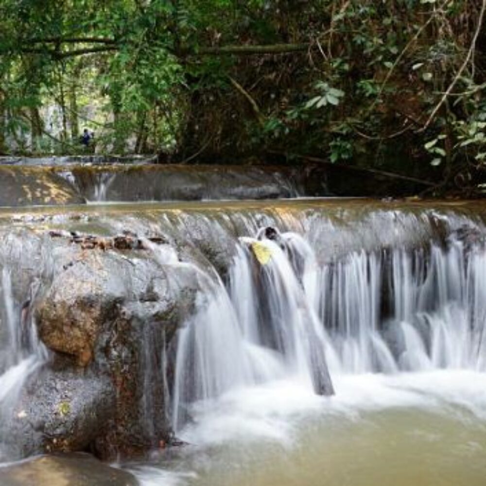 Hotel Maleisie Vakantie Rondreis Mutiara Taman Negara Resort