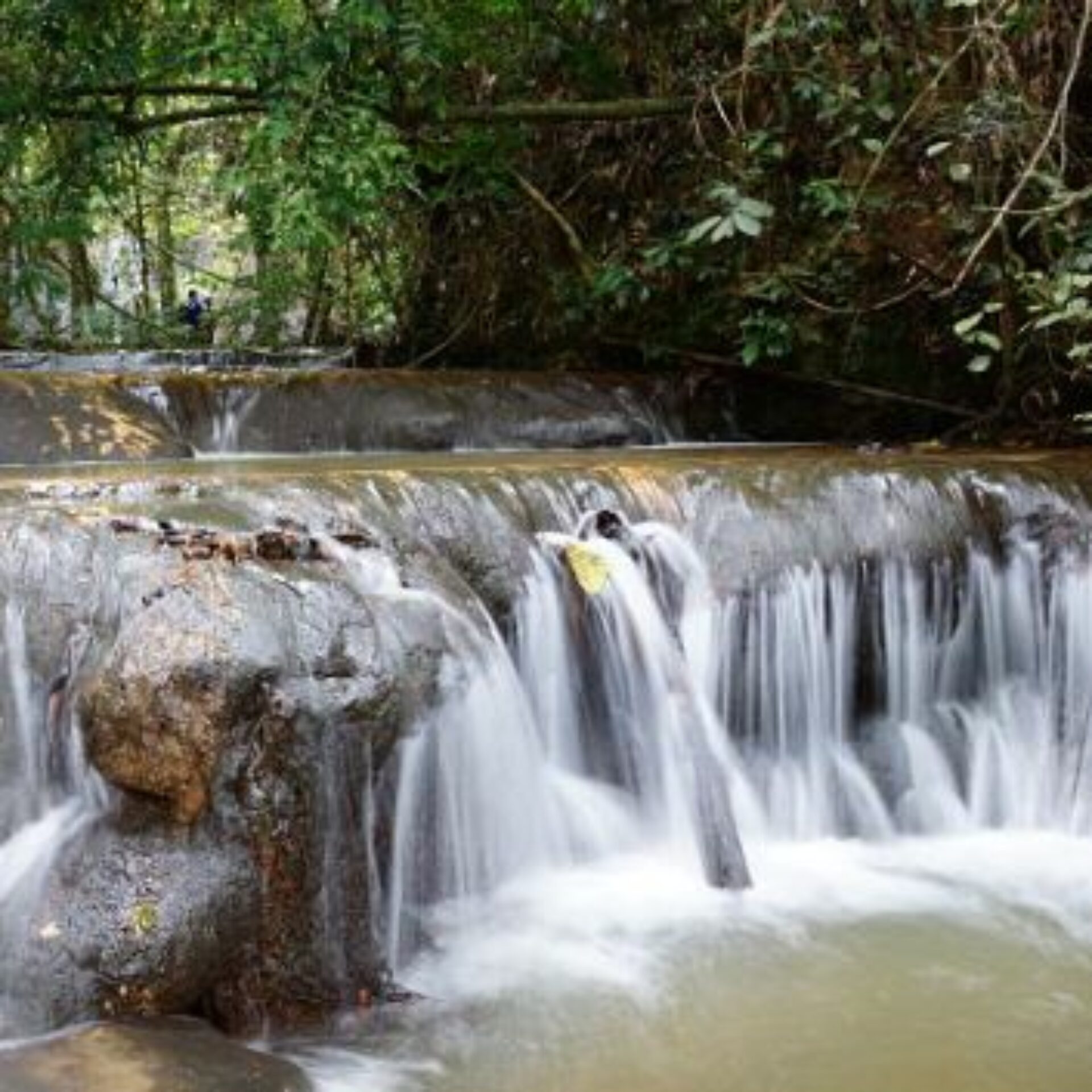 Hotel Maleisie Vakantie Rondreis Mutiara Taman Negara Resort
