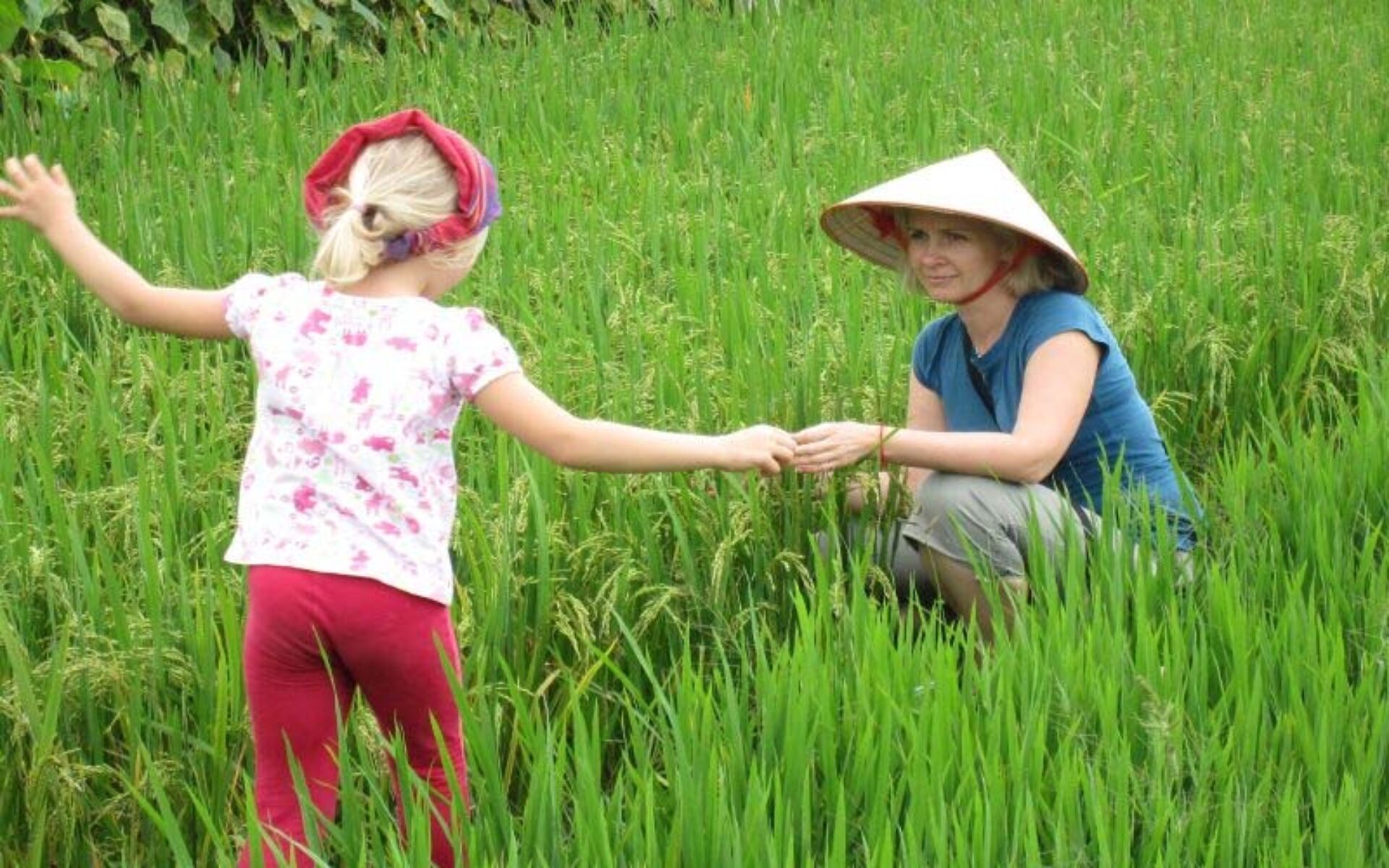 Red River Delta Moon Garden Homestay