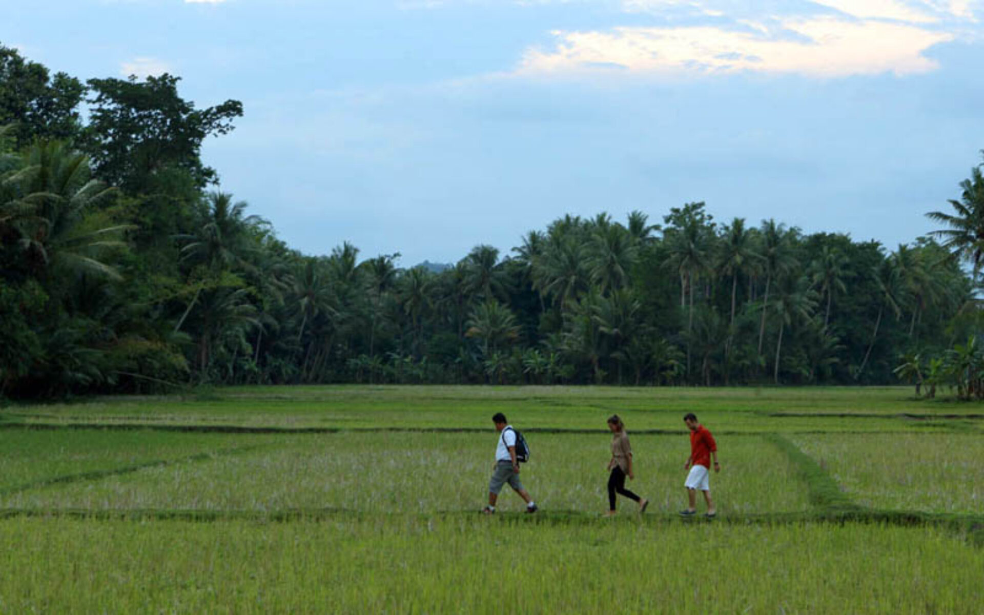 Hotel Java Borobudur Yogyakarta Plataran Borobudur Resort uitzicht