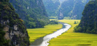 Home 1900x900 Istock Vietnam ninh binh rijstvelden rivier mooi
