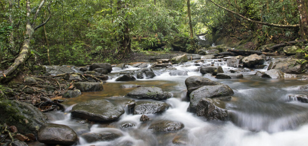 Home Istock Sri Lanka zuid tangalle beach mooi strand