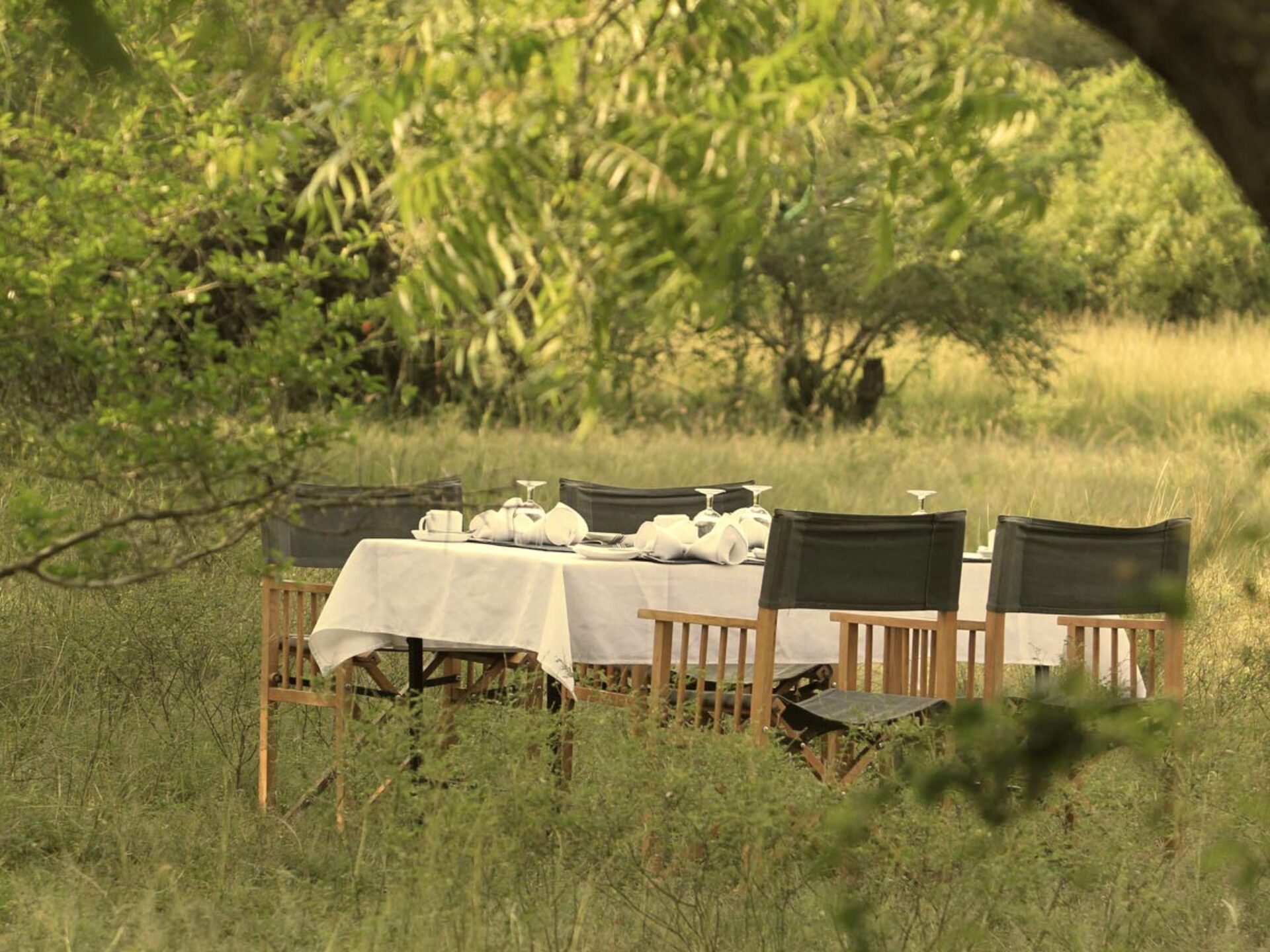 Hotel Safari Sri Lanka Rondreis Vakantie Original Asia Big Game Camp