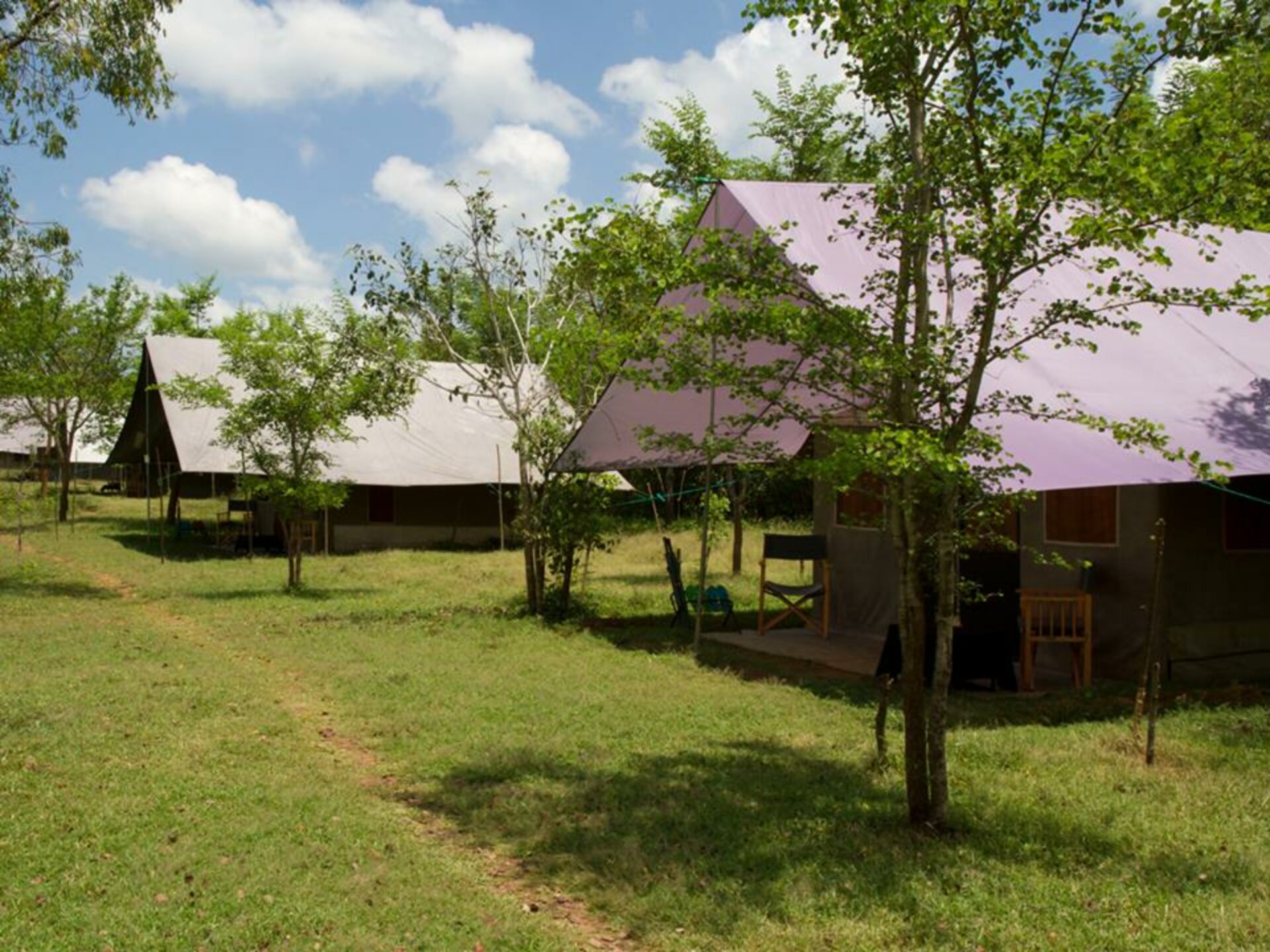 Hotel Safari Sri Lanka Rondreis Vakantie Original Asia Big Game Camp
